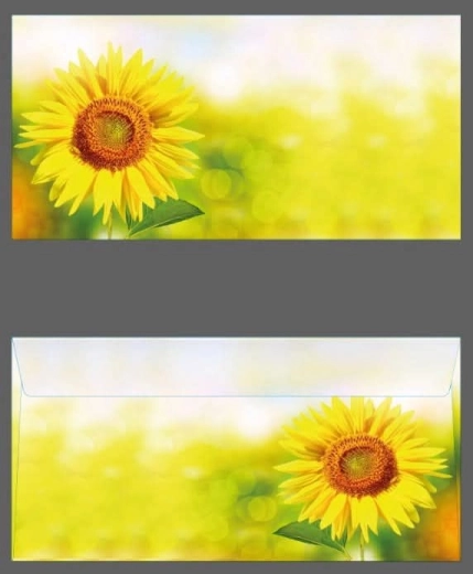 Colored DL Envelope with Sunflower
