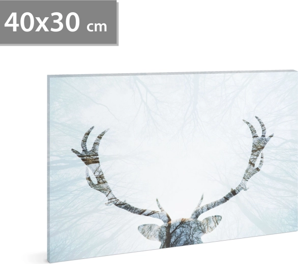 LED Picture with Reindeer 40 × 30 cm