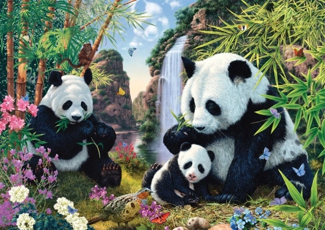Puzle “Pandas pie ūdenskrituma” 500 gab. SCHMIDT