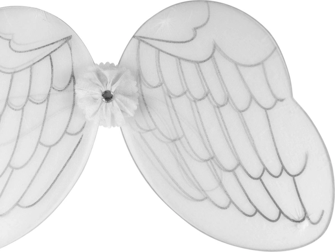Delicate wing decoration