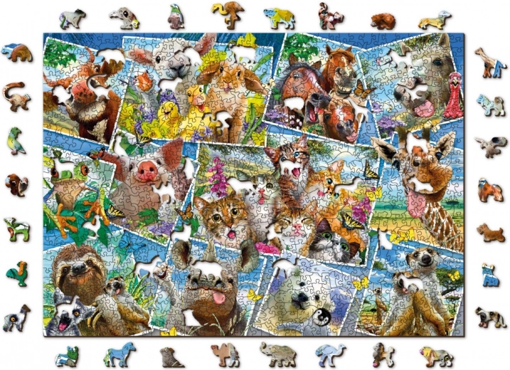 Krāsaina dzīvnieku kolāža – skaista dekorācija pēc salikšanas