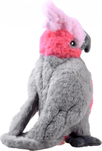 Reālistiskas detaļas, kas piesaista