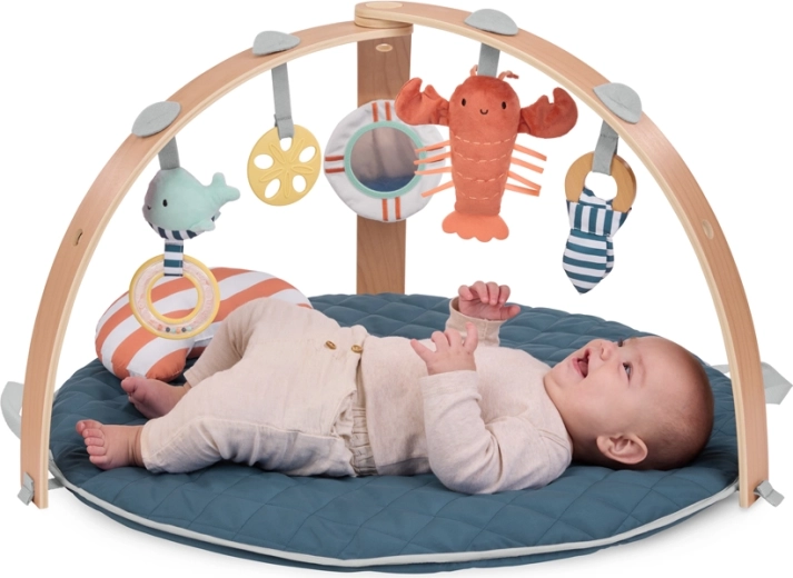 Folding wooden activity gym and 5 toys