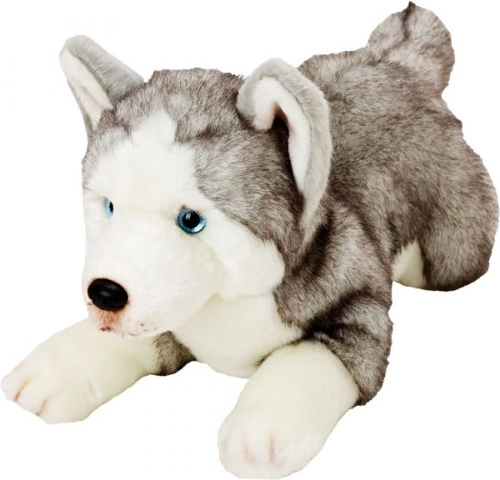 Plush Husky Dog
