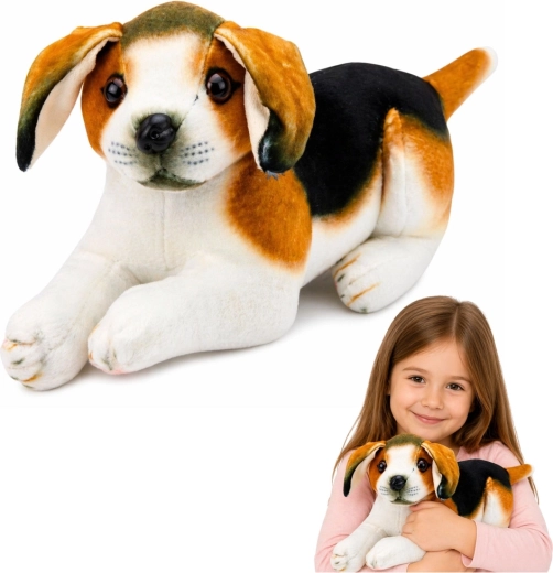 Plīša sunītis bīgls 25 cm