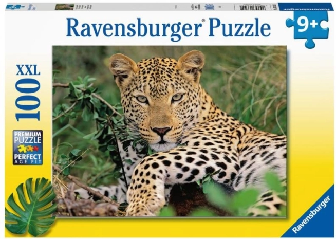 Puzle RAVENSBURGER leopards – 100 gabali