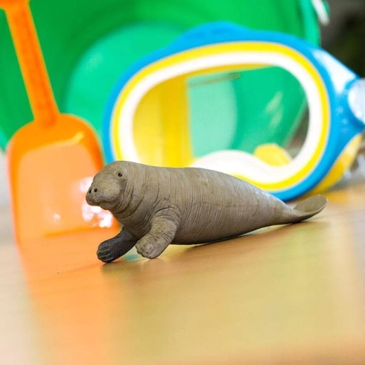 Ideal size for a child’s hand and for display