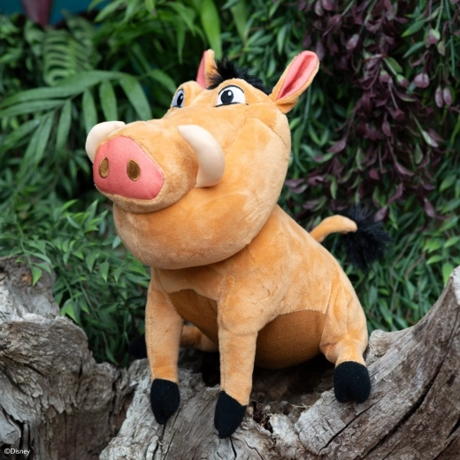Official DISNEY look with faithful details
