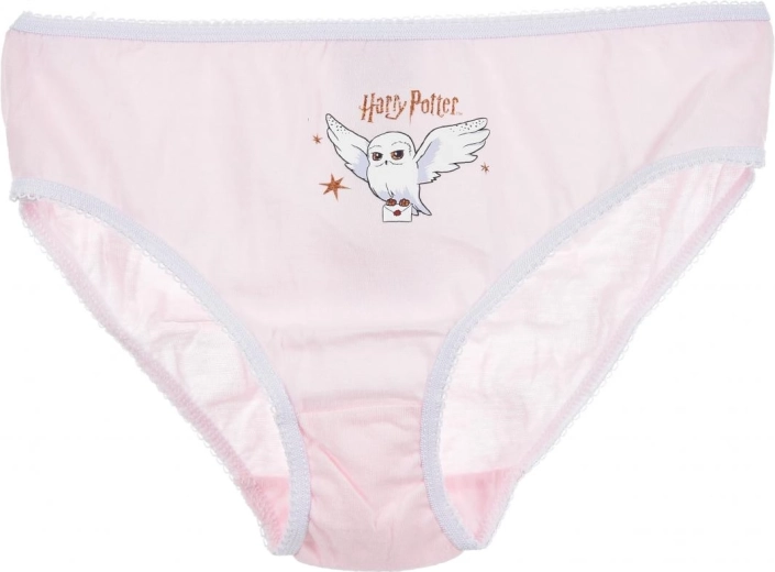 Licensed Harry Potter motif