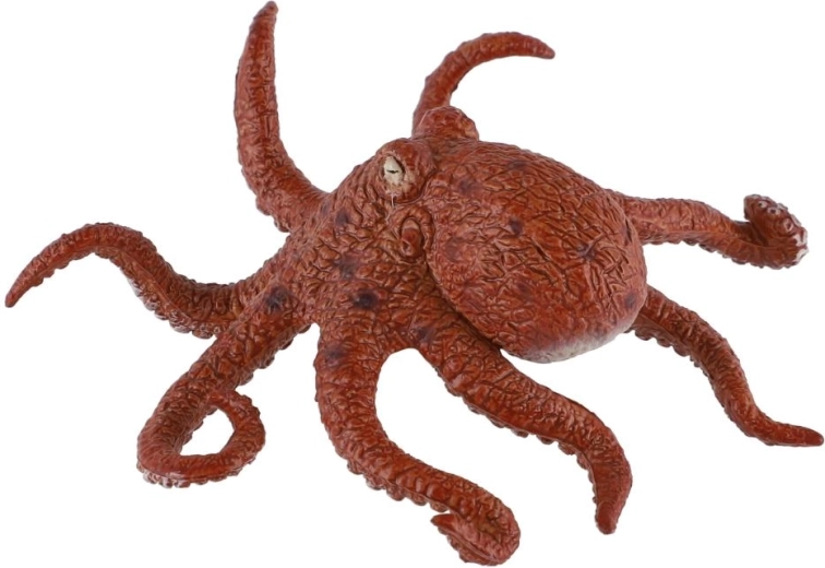 Realistic octopus appearance