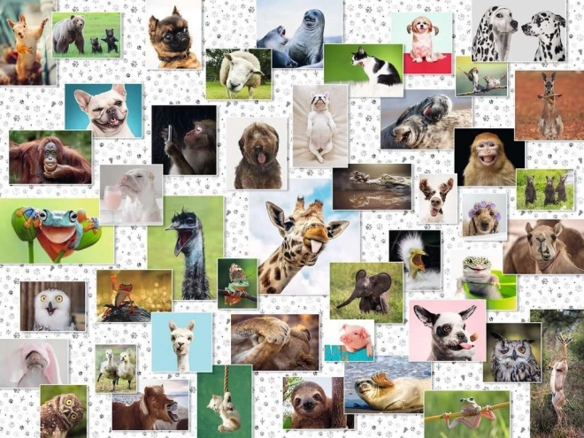 Ravensburger puzle Funny Animals Collage, 1500 detaļas