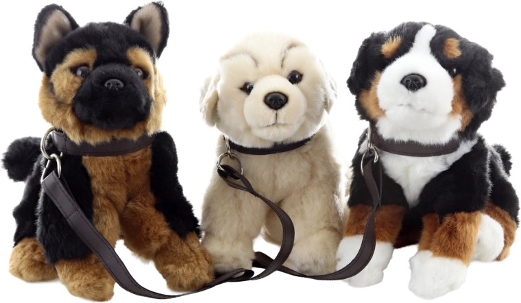 Three adorable types for collecting joy