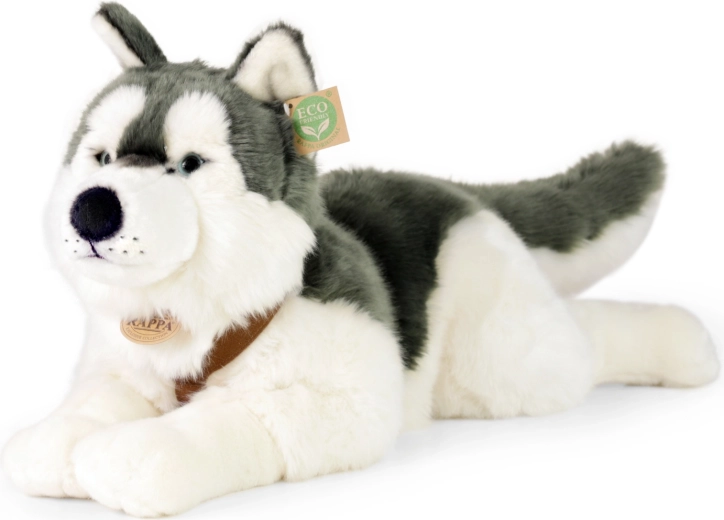 Plush husky dog with collar, 60 cm