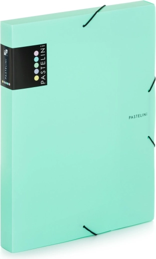 A4 PASTELINI Box with Elastic Green