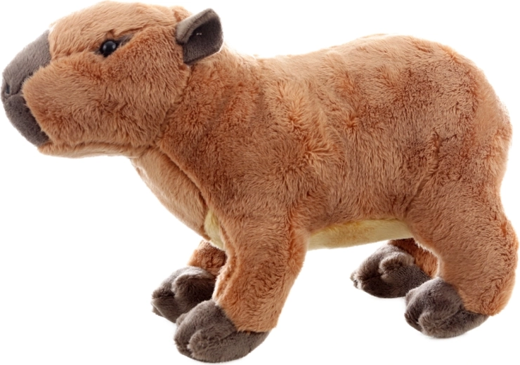 Droša jau no dzimšanas