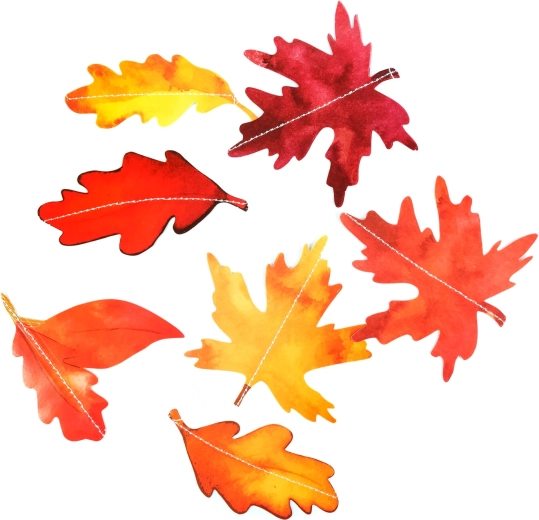 Warm autumn shades