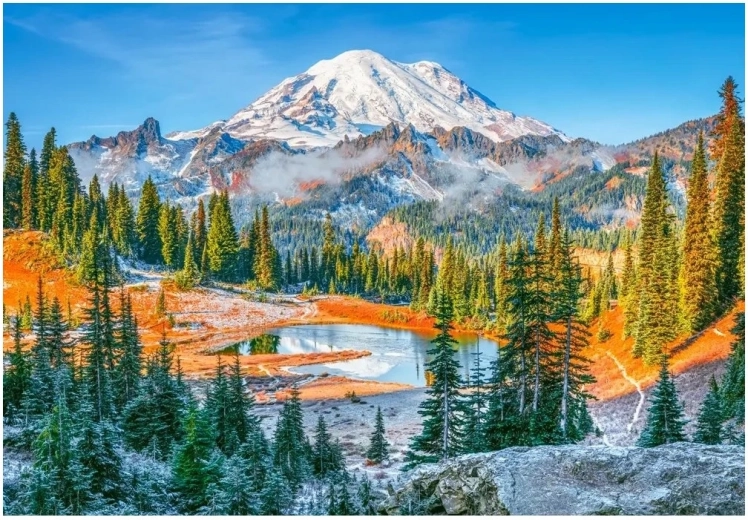 Puzle “Mount Rainier nacionālais parks” 1000 gabaliņi