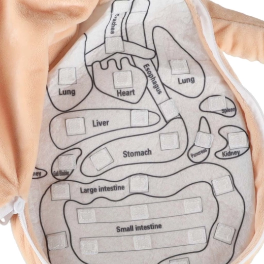 Vēderiņš ar rāvējslēdzēju un pārskatāmu izvietojumu