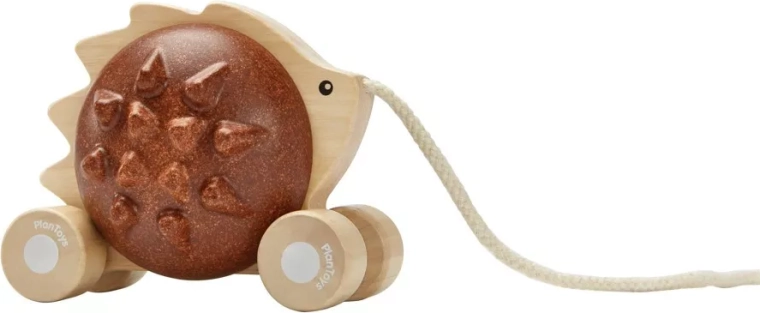 Wooden pull-along toy for motor skill development
