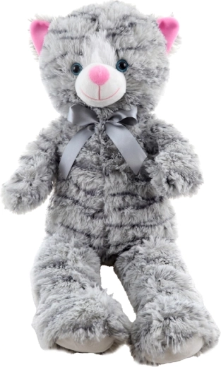 Mīlīgas detaļas un lentīte