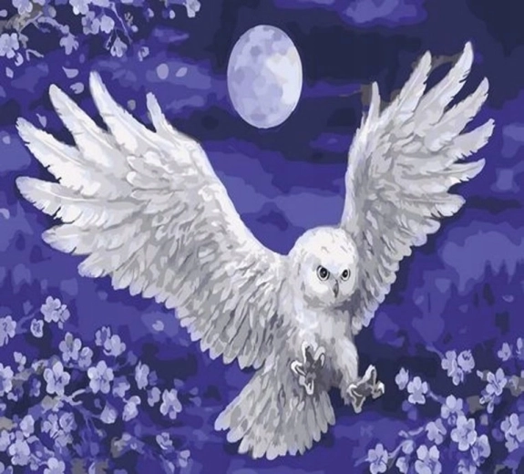 Norimpex gleznošana pēc numuriem «Pūce un mēness» 40 × 50 cm