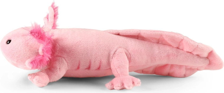 34 cm size for small and big cuddlers