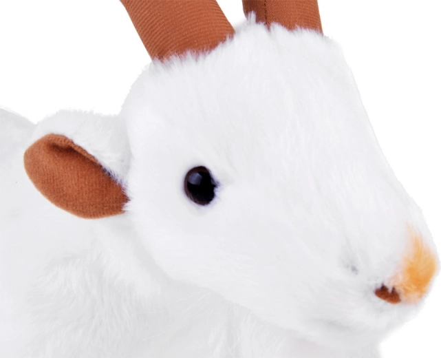 Realistiskas detaļas, kas piesaista