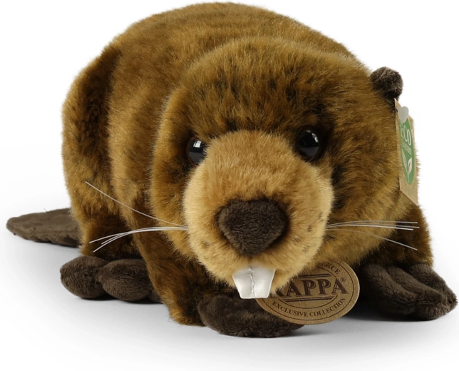 Eco‑friendly pildījums no pārstrādātām PET pudelēm