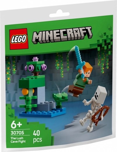 LEGO Minecraft – Cīņa sulīgajā alā