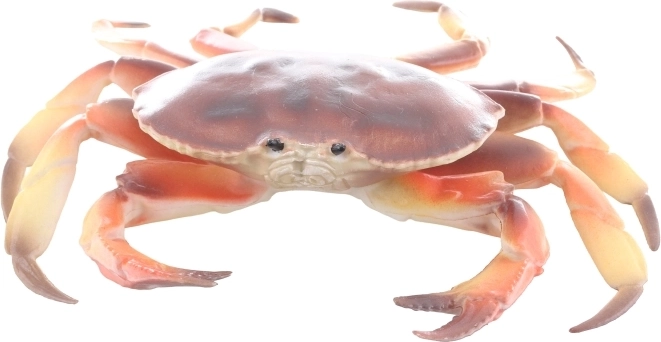 Kompakti izmēri un ērta uzglabāšana