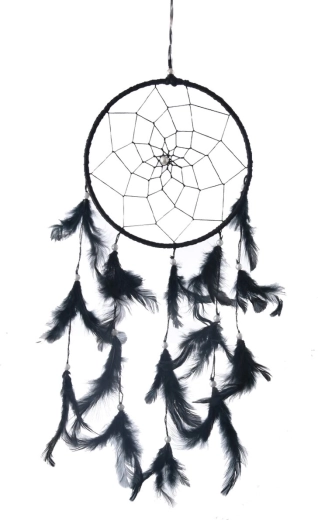 Cotton dreamcatcher with feathers, black