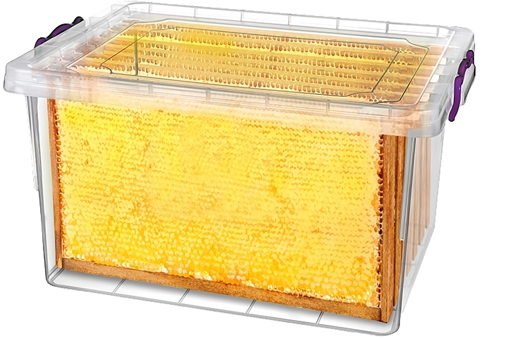 Safe storage of bee frames