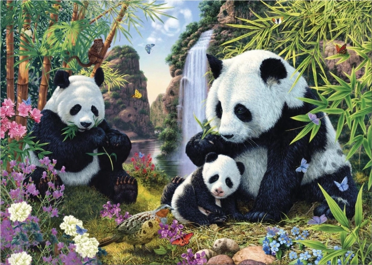 Puzle “Paslēptās pandas” 1000 gabaliņi – Secret Collection