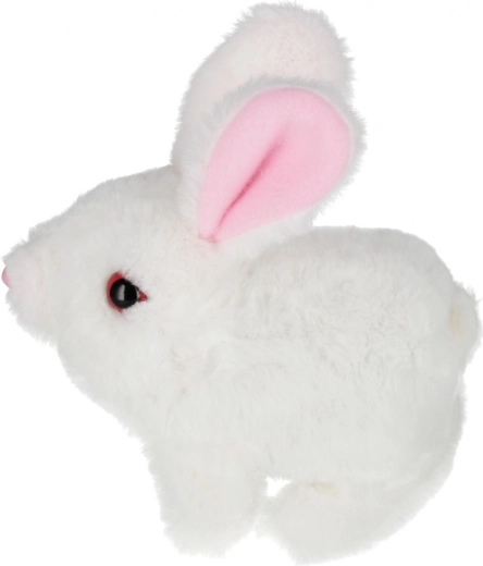 Izvēle no trim krāsām