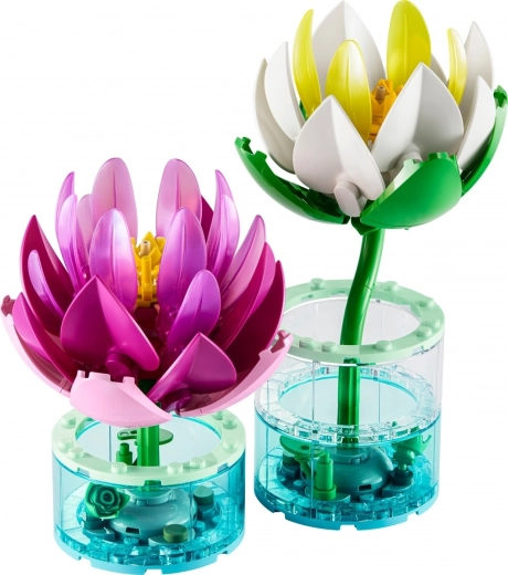 Home decor and a gift for nature lovers