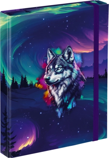 A5 School Notebook Folder Baagl Aurora