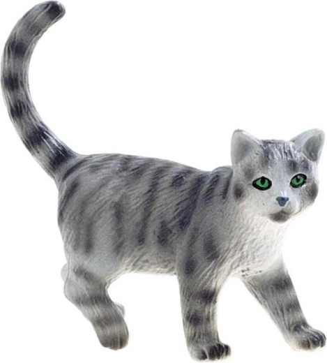 Chartreux Cat Minka