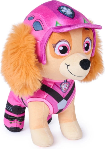Movie look Paw Patrol: Dinosaurs
