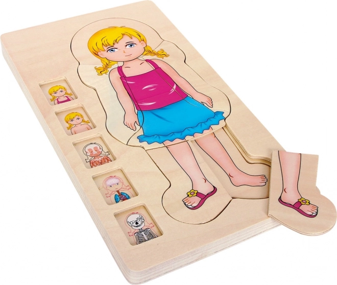 Small foot koka slāņveida anatomijas puzle