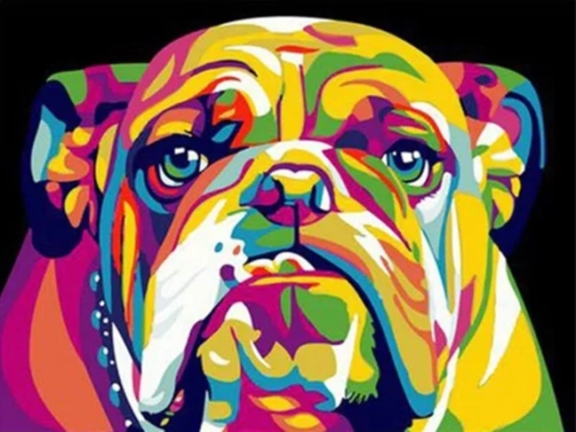 NORIMPEX Paint by Numbers Colorful Bulldog 40 × 50 cm