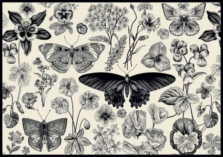 Puzzle INTERDRUK Butterflies and Flowers 500 Pieces
