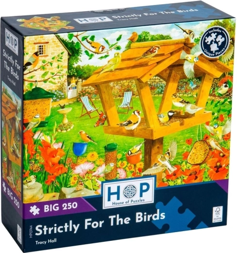 250 large pieces for comfortable assembly