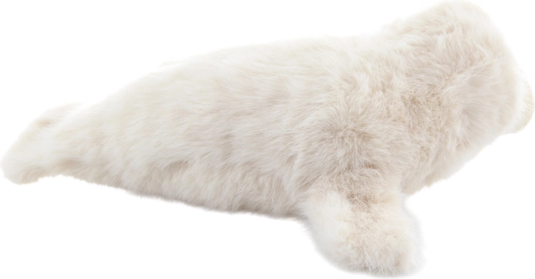 Droši no dzimšanas