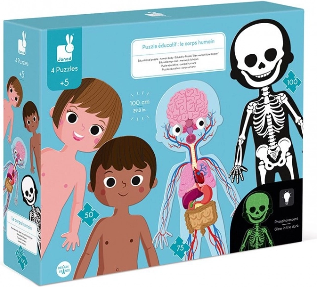 Janod Human Body Puzzle 3-in-1 (50, 75 and 100 pieces)