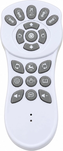 Remote control and fun effects