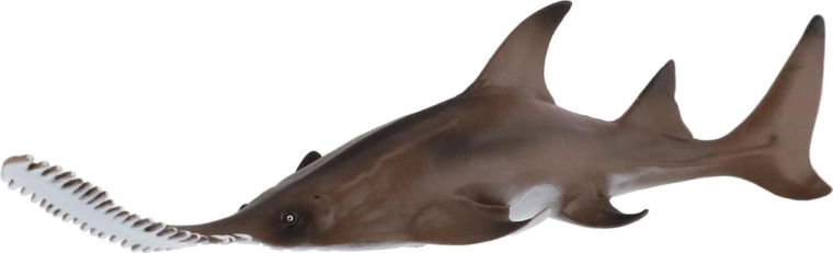 Distinctive saw-like snout