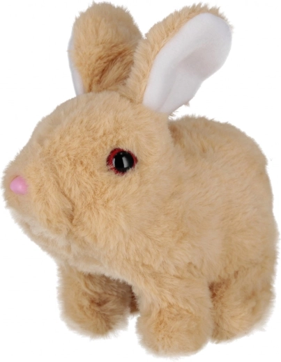 Mīlīgas kustības un skaņas