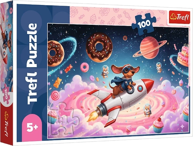 Puzle 100 gabali – ezītis uz raķetes