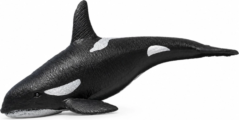 Realistic orca details