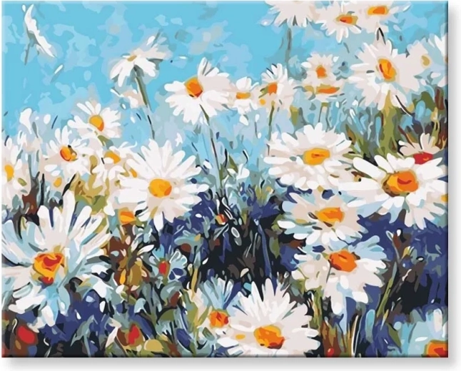 Norimpex Paint by Numbers Daisies 40 × 50 cm